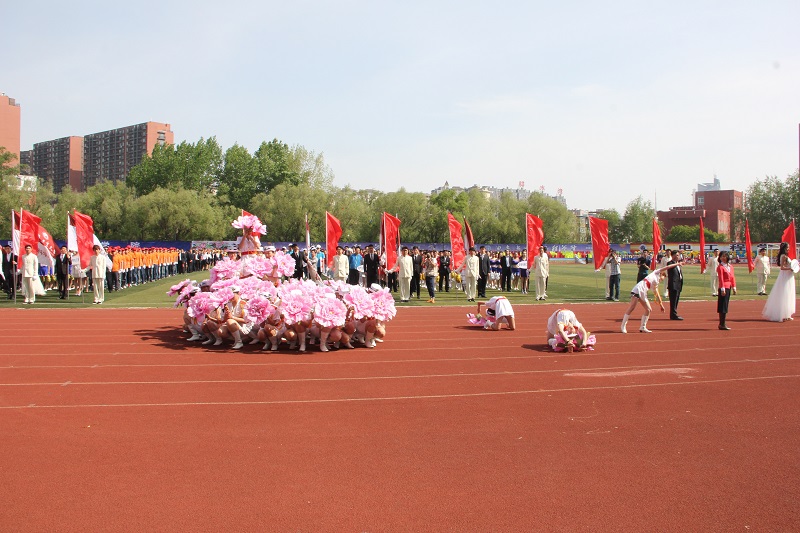 33.jpg 33.jpg